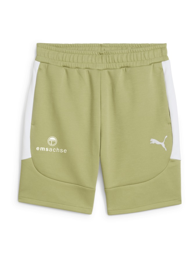 PUMA teamEVOSTRIPE Shorts