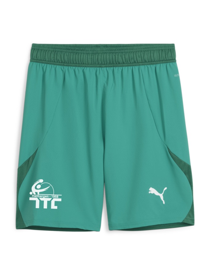 PUMA teamFINAL Shorts