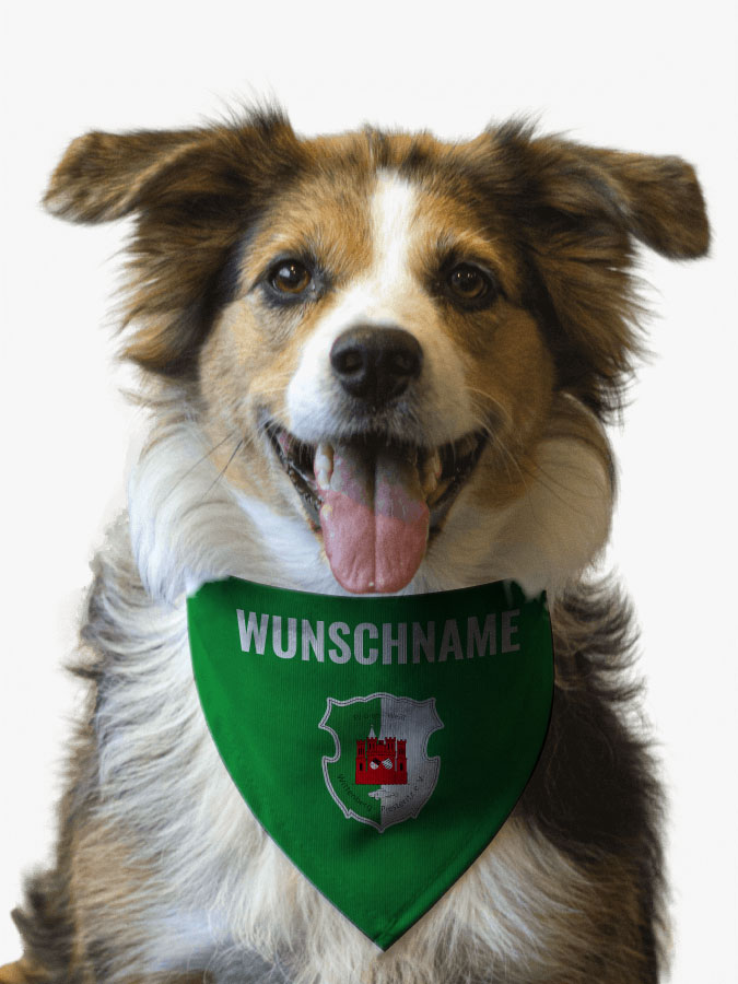Hundehalstuch