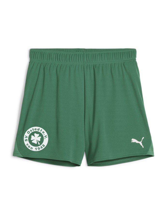 PUMA teamGOAL Handballshorts Damen