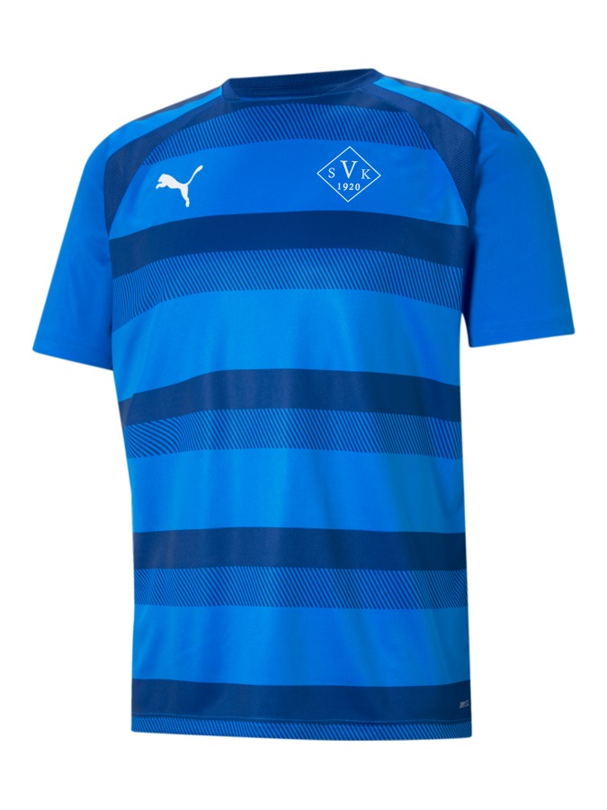 PUMA teamVISION Trikot
