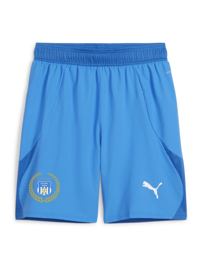 PUMA teamFINAL Shorts