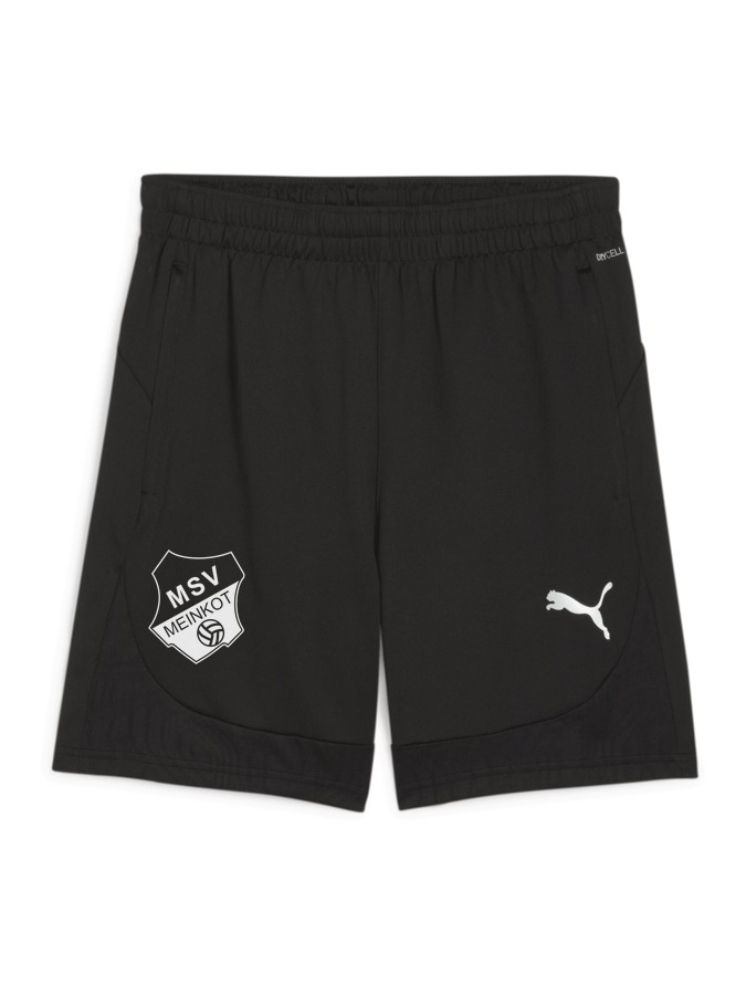 PUMA teamFINAL Training Shorts