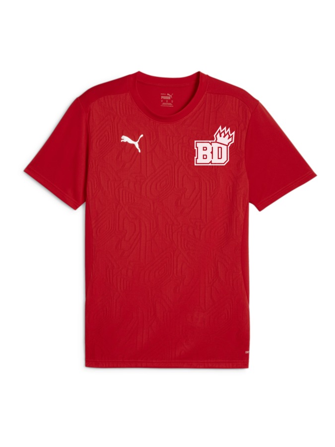 PUMA teamFINAL Trainingsshirt