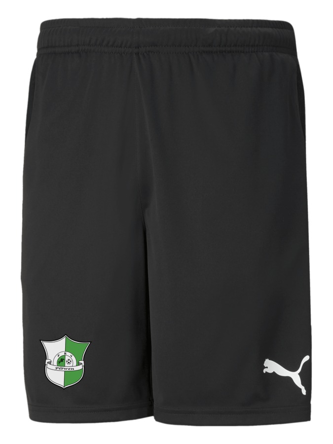 PUMA teamRISE Training Shorts