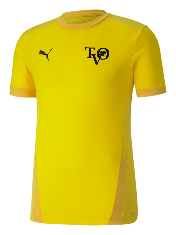 PUMA teamGOAL 23 Trikot