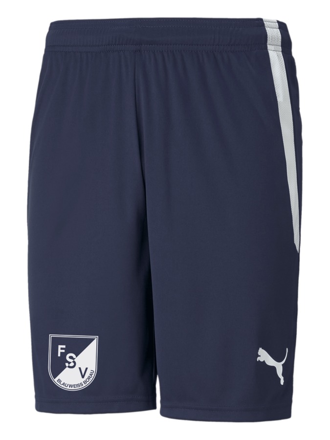 PUMA teamLIGA Shorts