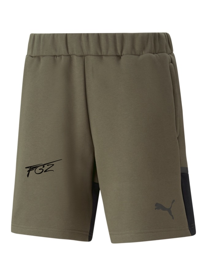 PUMA teamCUP Casuals Shorts