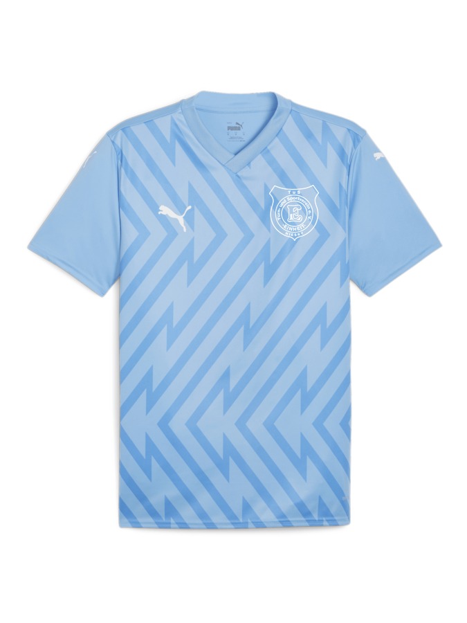 PUMA teamGLORY Trikot