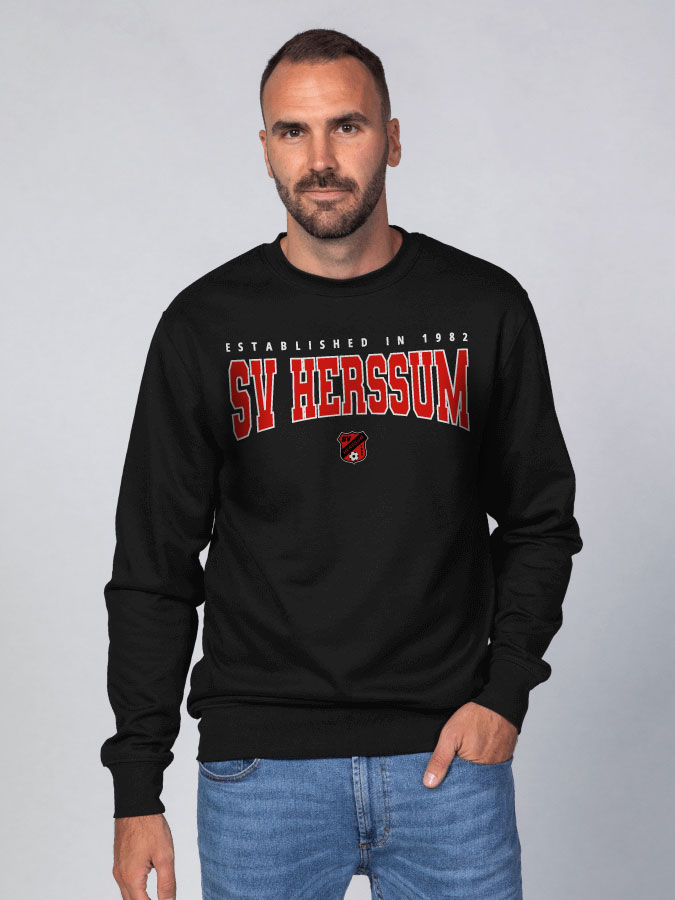 Sweater Retro Herren