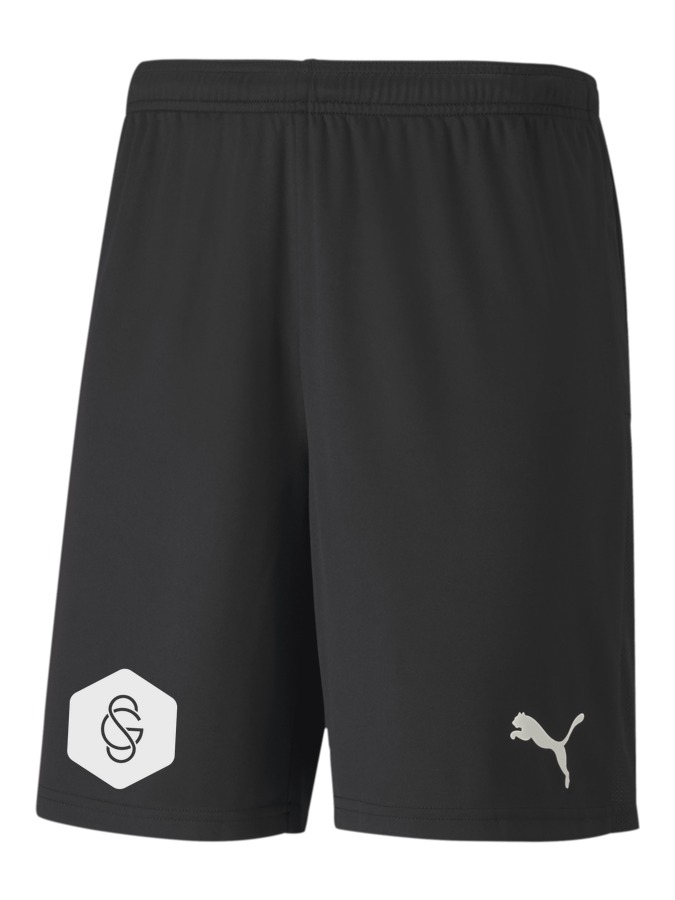 PUMA teamGOAL 23 Knit Shorts