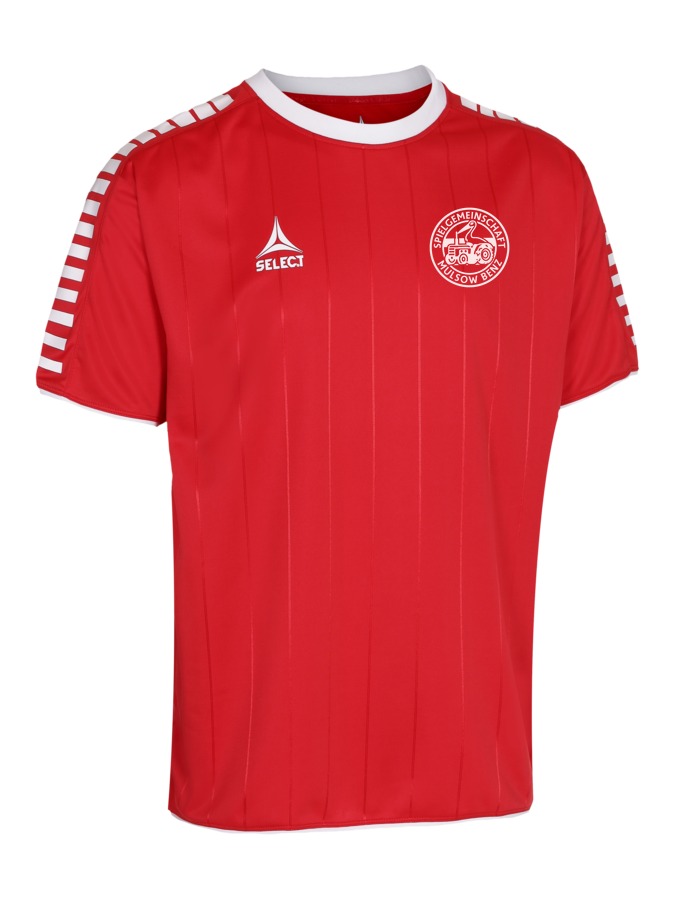 Select Argentina Trikot