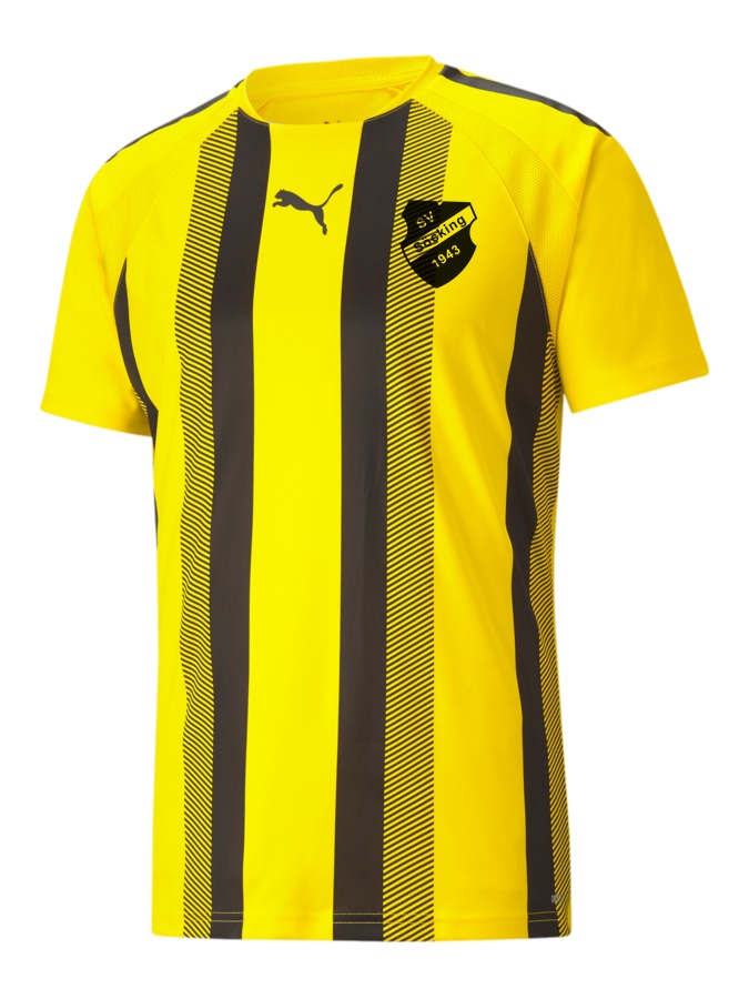 PUMA teamLIGA Striped Trikot