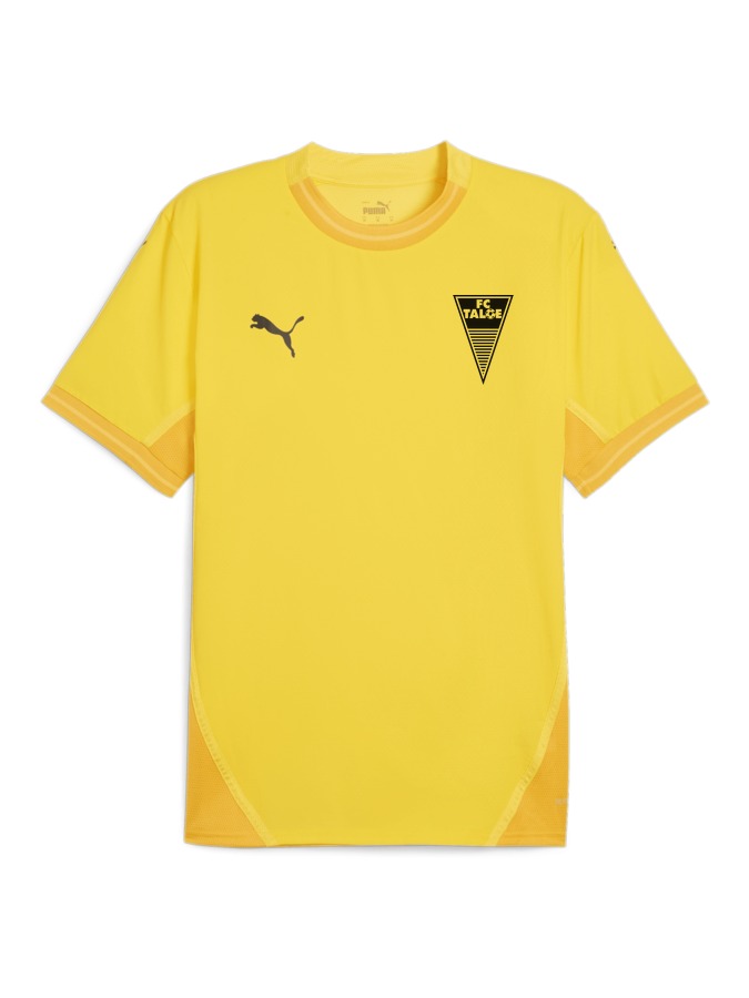 PUMA teamFINAL Trikot