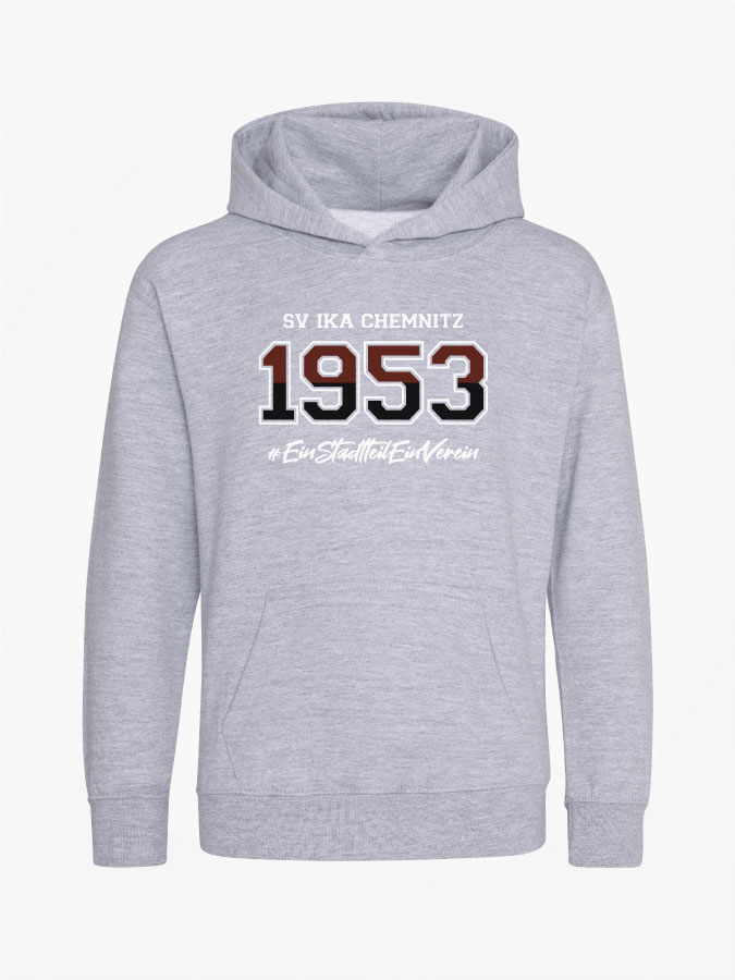 Hoodie Established Kids