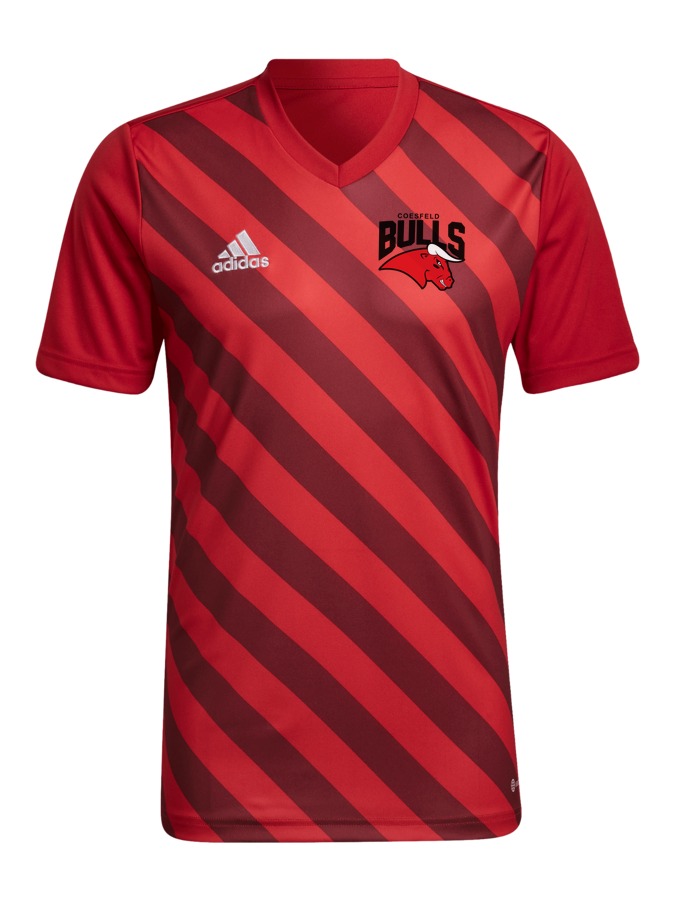 adidas Entrada 22 GFX Trikot