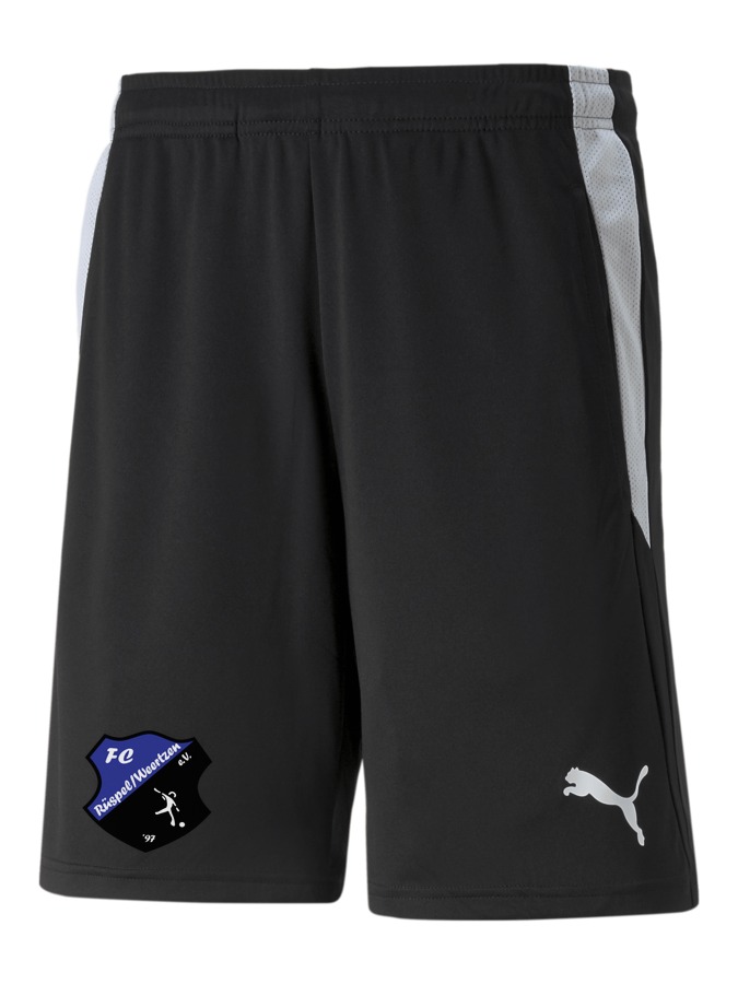 PUMA teamLIGA Referee Shorts