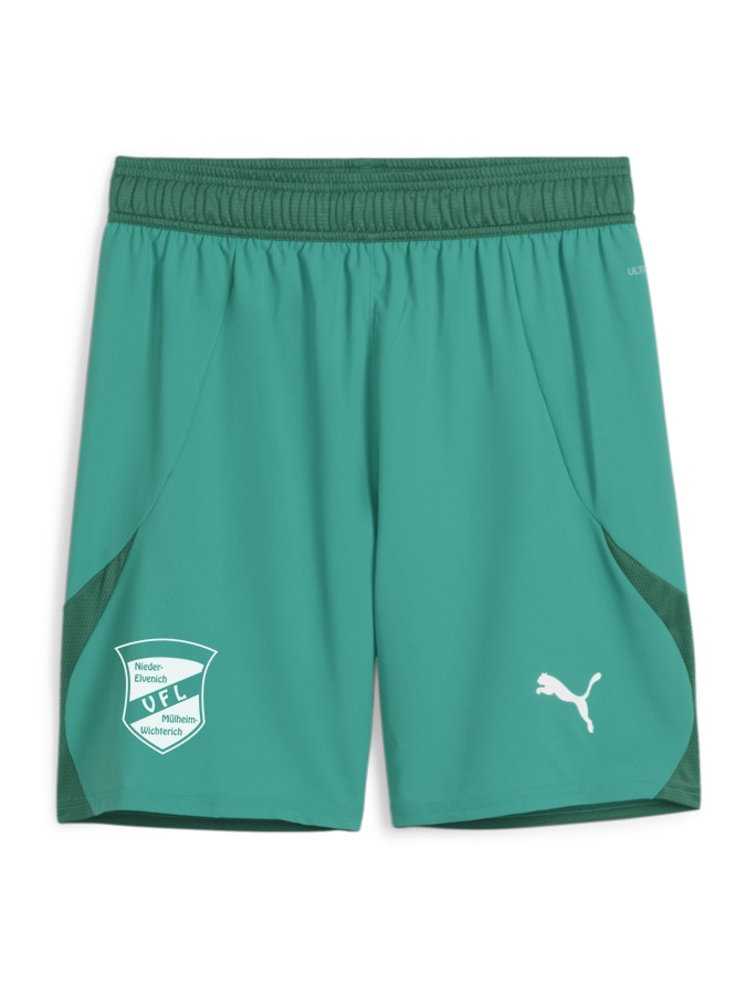 PUMA teamFINAL Shorts