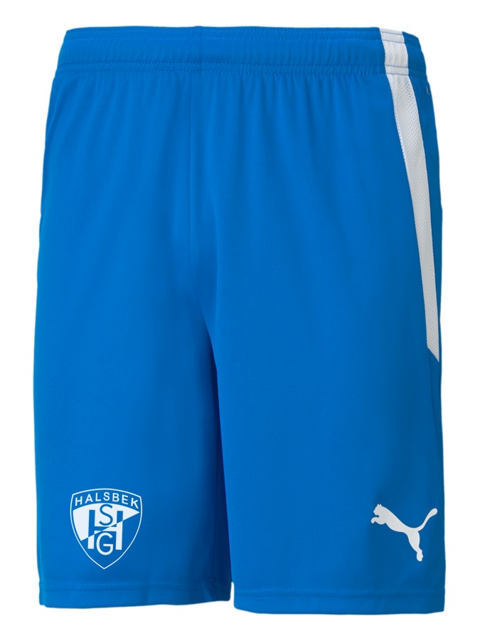 PUMA teamLIGA Shorts