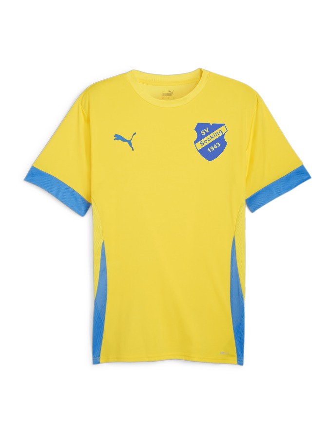 PUMA teamGOAL Matchday Trikot