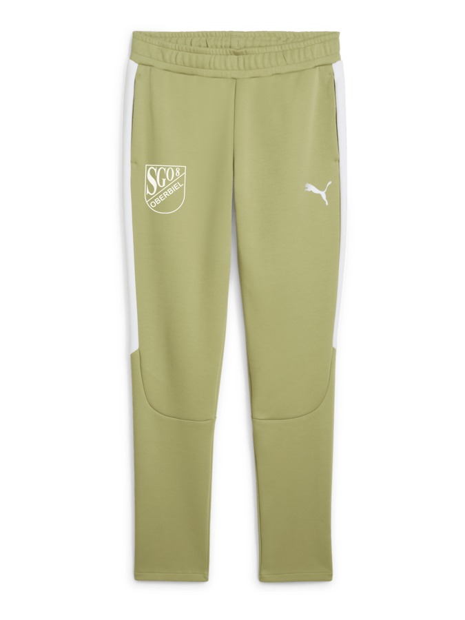 PUMA teamEVOSTRIPE Hose