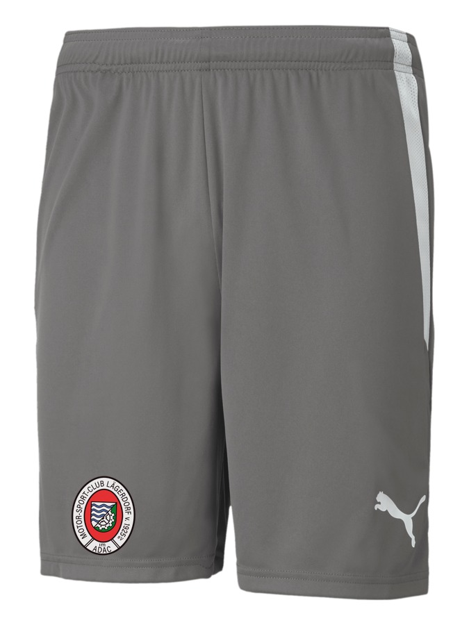 PUMA teamLIGA Shorts