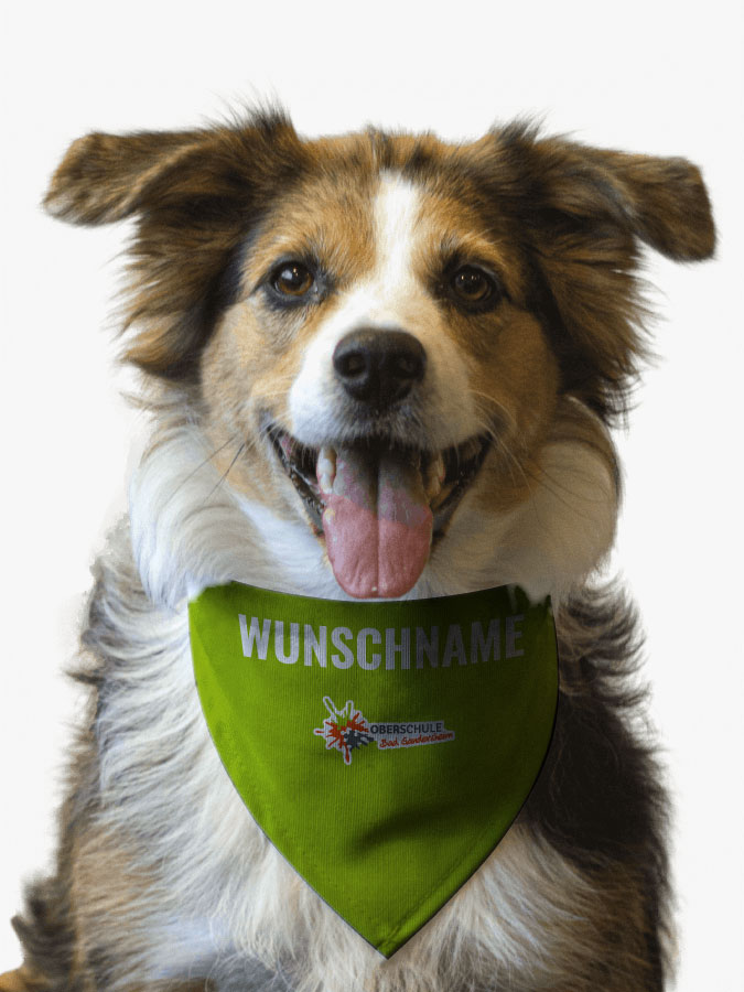 Hundehalstuch