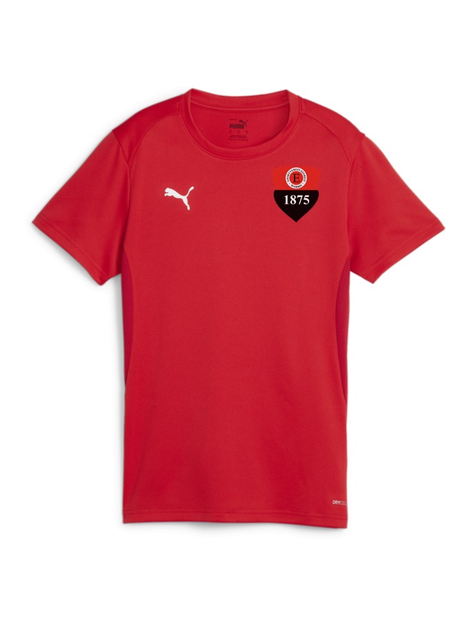 PUMA teamGOAL Trikot Damen