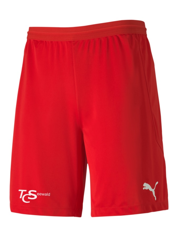 PUMA teamFINAL 21 Knit Shorts
