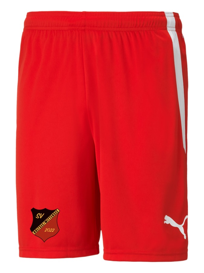 PUMA teamLIGA Shorts