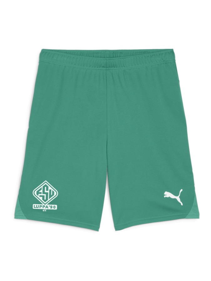 PUMA teamGOAL Shorts