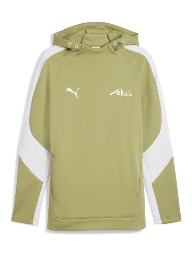 PUMA teamEVOSTRIPE Hoody