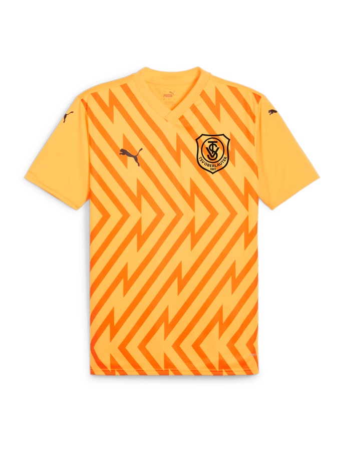 PUMA teamGLORY Trikot