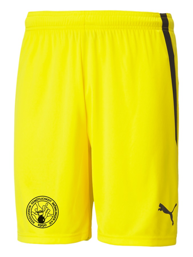 PUMA teamLIGA Shorts
