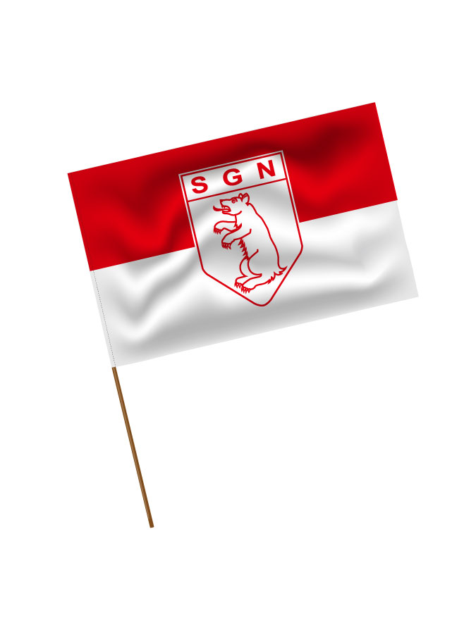 Stadionfahne Logo