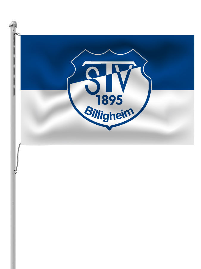 Hissfahne Logo