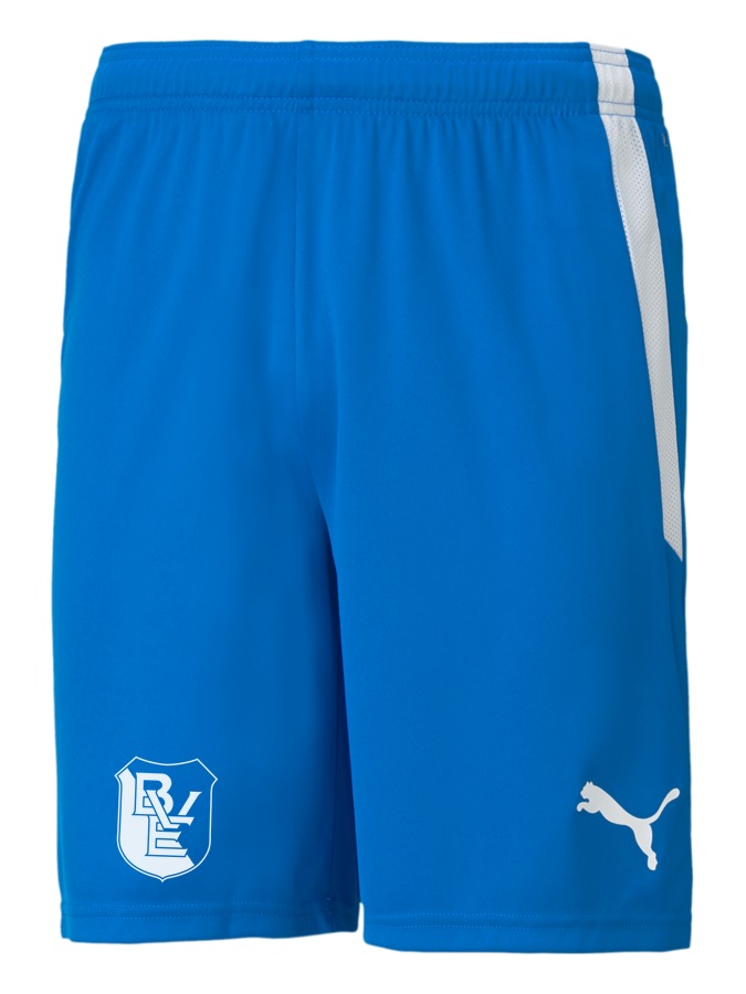 PUMA teamLIGA Shorts