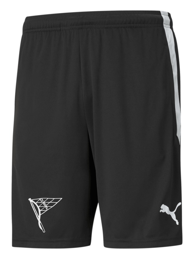 PUMA teamLIGA Training Shorts