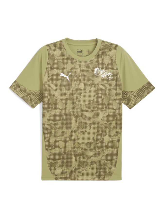 PUMA teamCUP Trainingsshirt