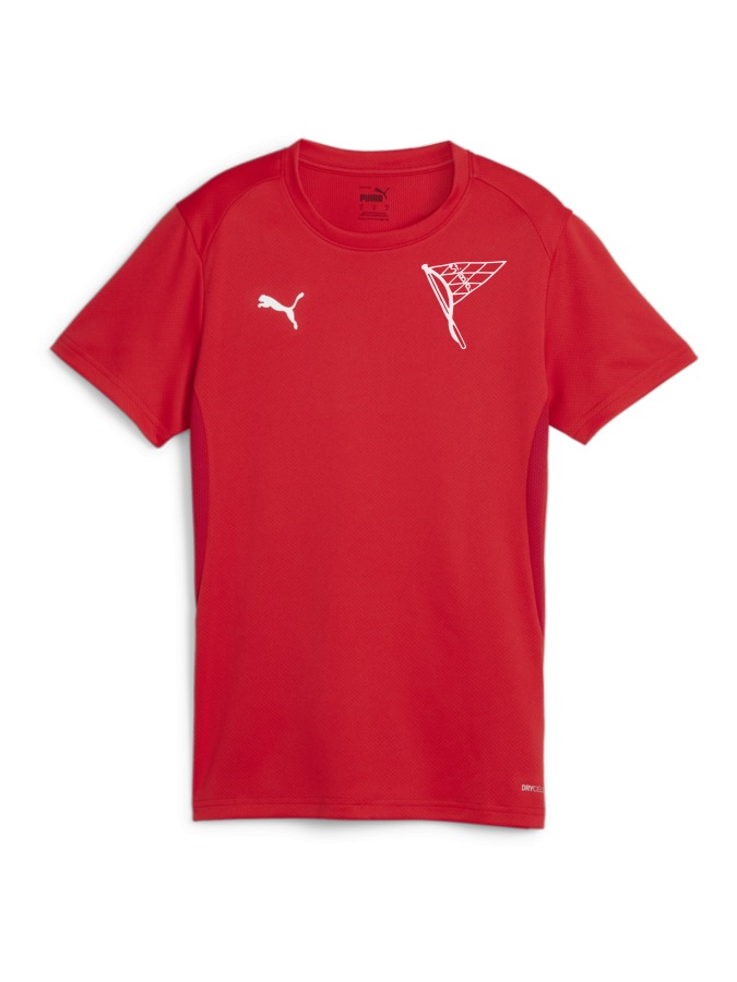 PUMA teamGOAL Trikot Damen