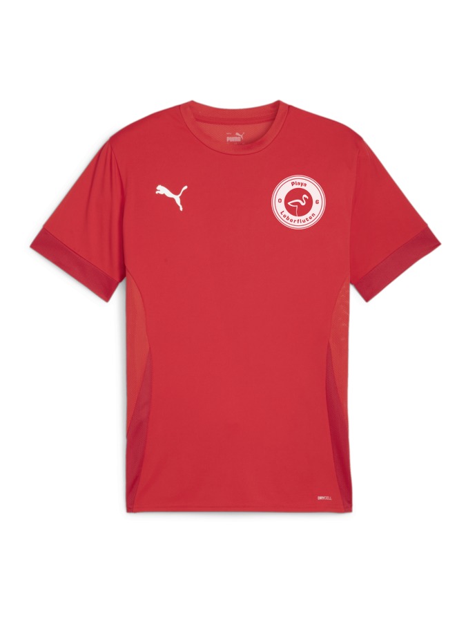 PUMA teamGOAL Matchday Trikot