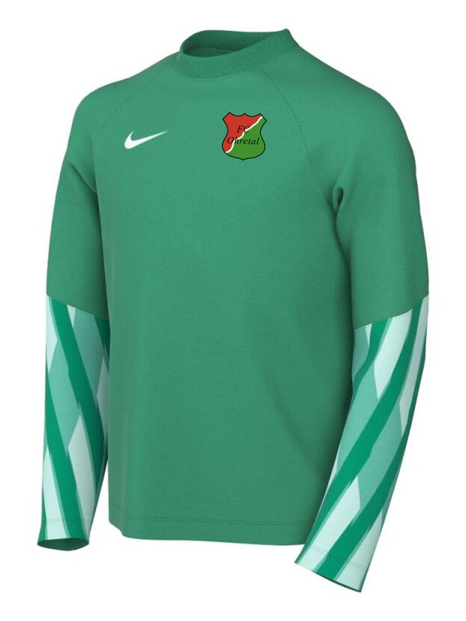 Nike Dri-FIT Park V Torwart Trikot Langarm Kinder
