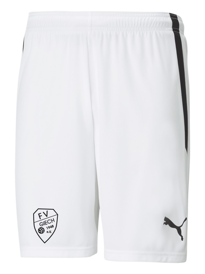 PUMA teamLIGA Shorts