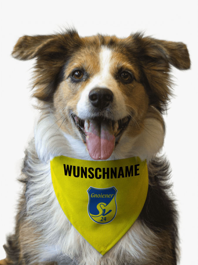 Hundehalstuch