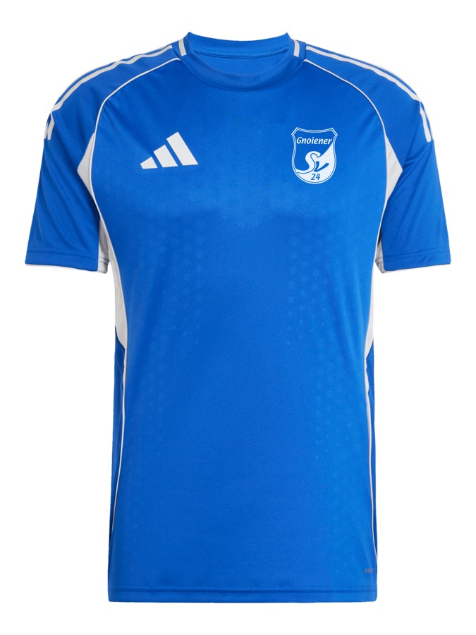 adidas Tiro 25 Competition Match Trikot