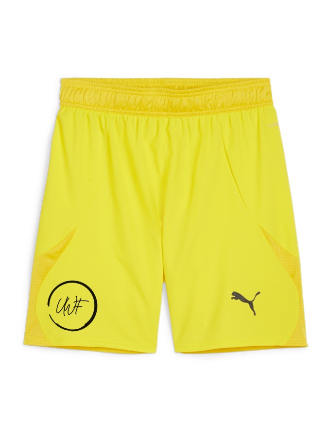 PUMA teamFINAL Shorts
