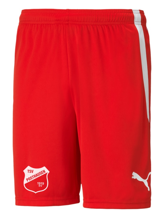 PUMA teamLIGA Shorts