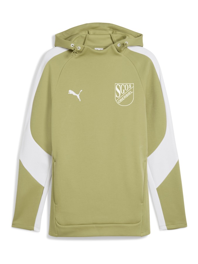 PUMA teamEVOSTRIPE Hoody