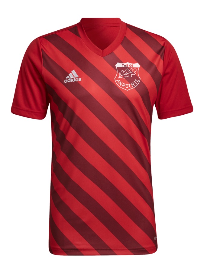 adidas Entrada 22 GFX Trikot