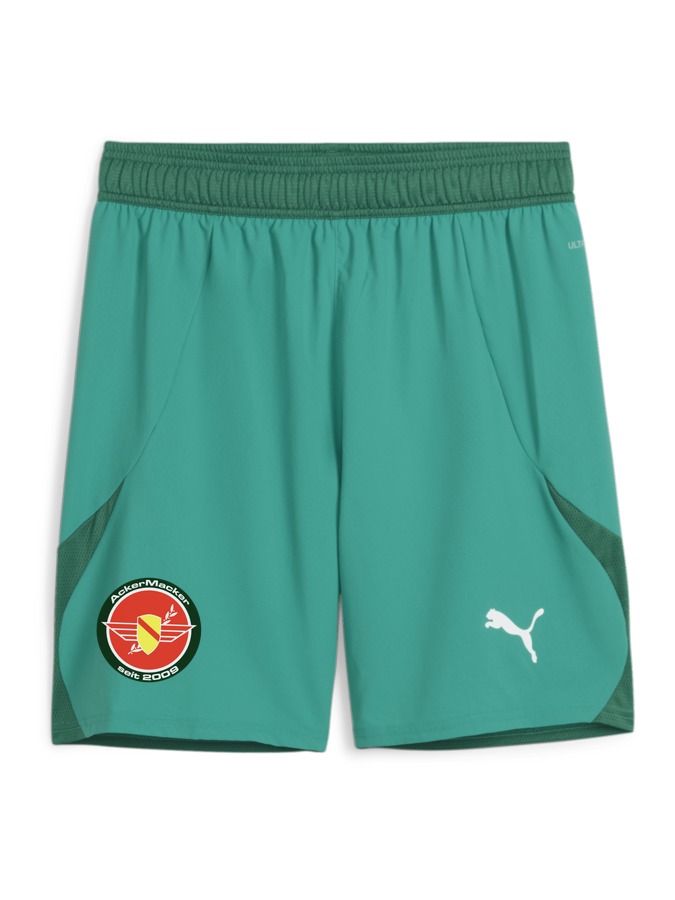 PUMA teamFINAL Shorts